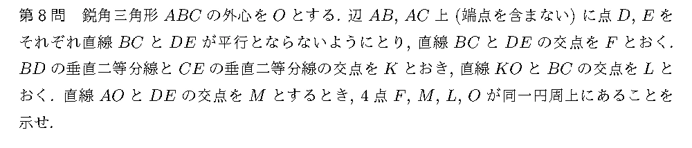 代表選考合宿 2019 問題8の日本語問題文